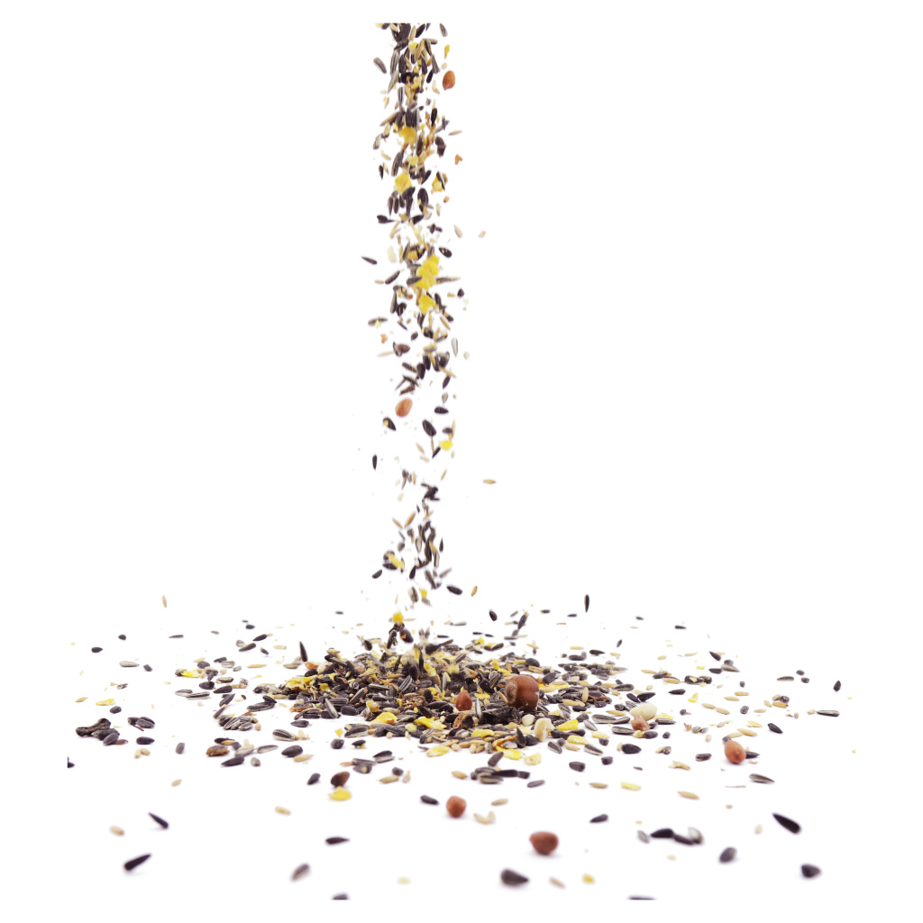 Eichhörnchen-Futtermischung 2 kg | CJ Wildlife